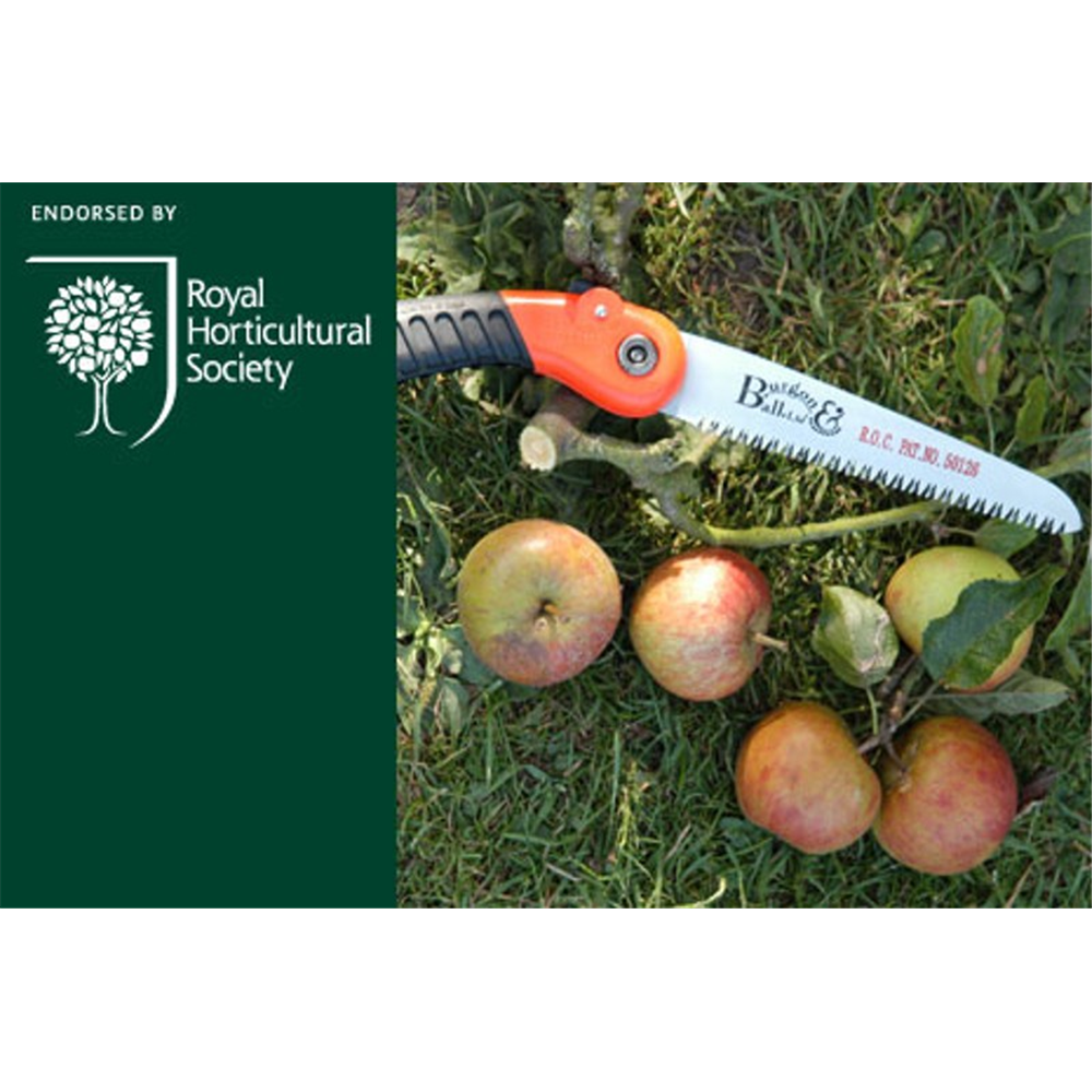 Burgon \u0026 Ball Folding Pruning Saw - RHS 