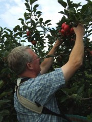 Waterperry Gardens - The Orchards