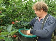 48-2-medium Waterperry Gardens - The Orchards