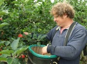 Waterperry Gardens - The Orchards