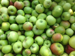 IMG_1383-2 Apple Orchard at Waterperry Gardens Oxford.
