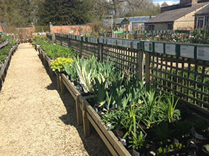 Garden Shop at Waterperry Gardens