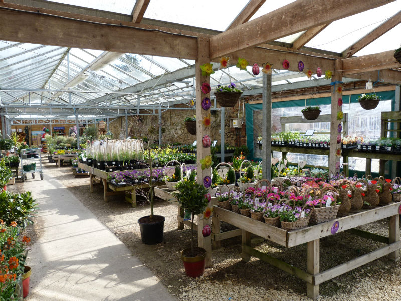 Plant Centre at Waterperry Gardens