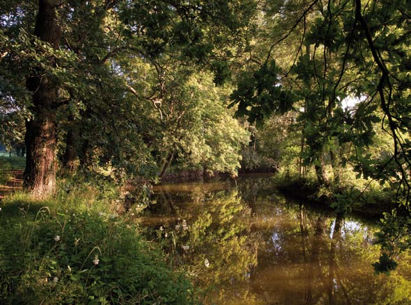 Riverside Walk at Waterperry Gardens