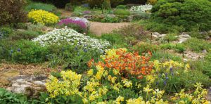 Rock Gardens at Waterperry Gardens