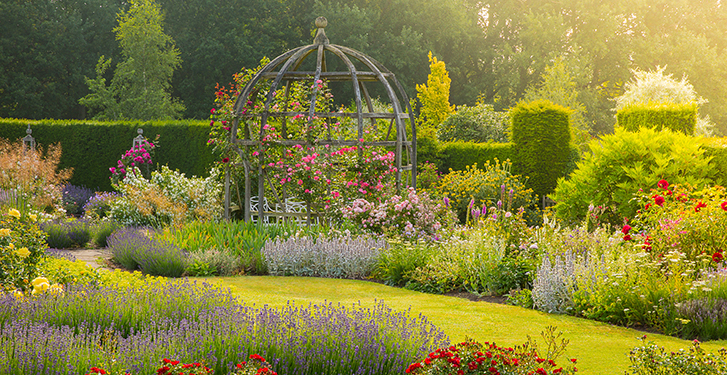 Mary Rose Garden and arbor