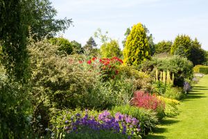 Horticulture Courses at Waterperry Gardens