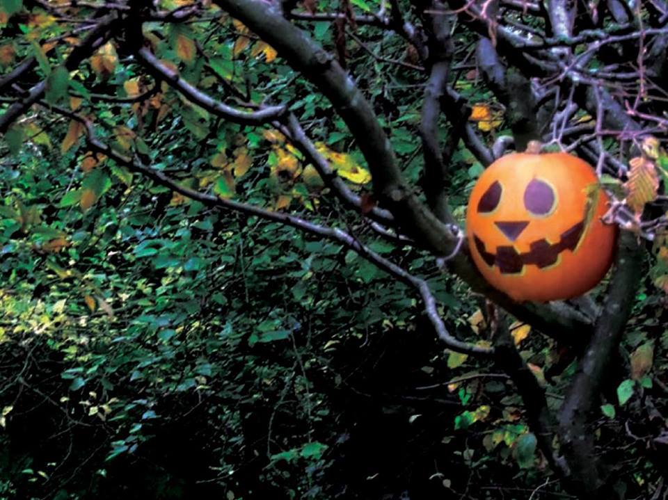 Halloween Hunt in the Gardens at Waterperry Gardens - Garden Centre - Ornamental Gardens