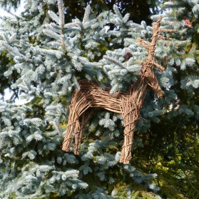 Waperperry Reindeer Trail Waperperry Reindeer Trail