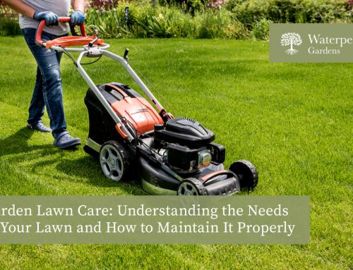 Garden Lawn Care: Understanding the Needs of Your Lawn and How to Maintain It Properly