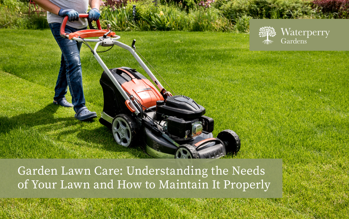 lawn care orem utah