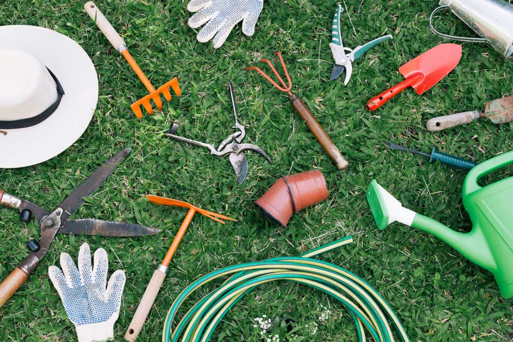 Garden Lawn Care: Understanding the Needs of Your Law