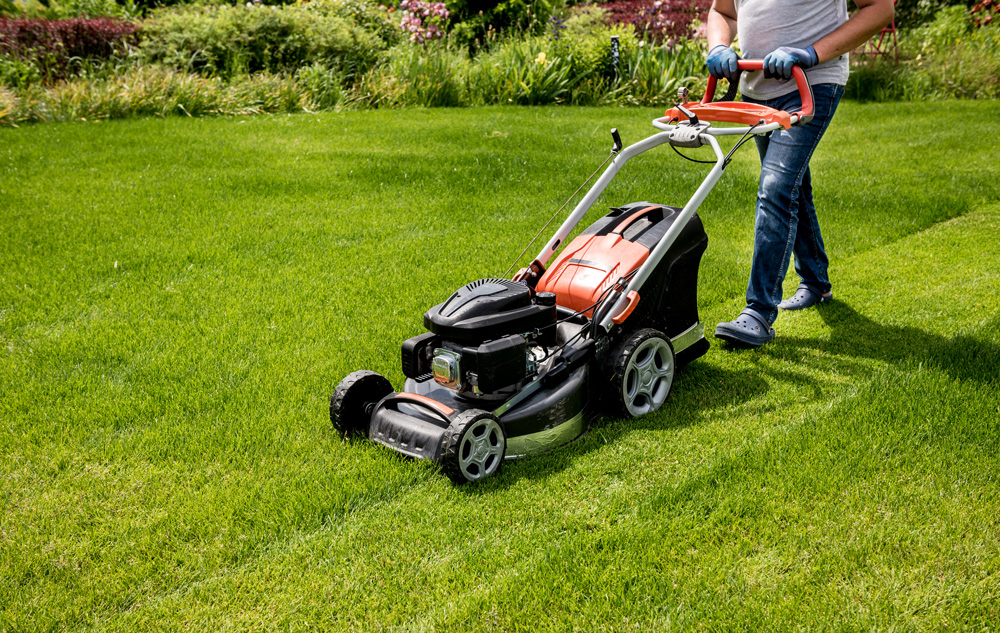 Garden Lawn Care: Understanding the Needs of Your Law