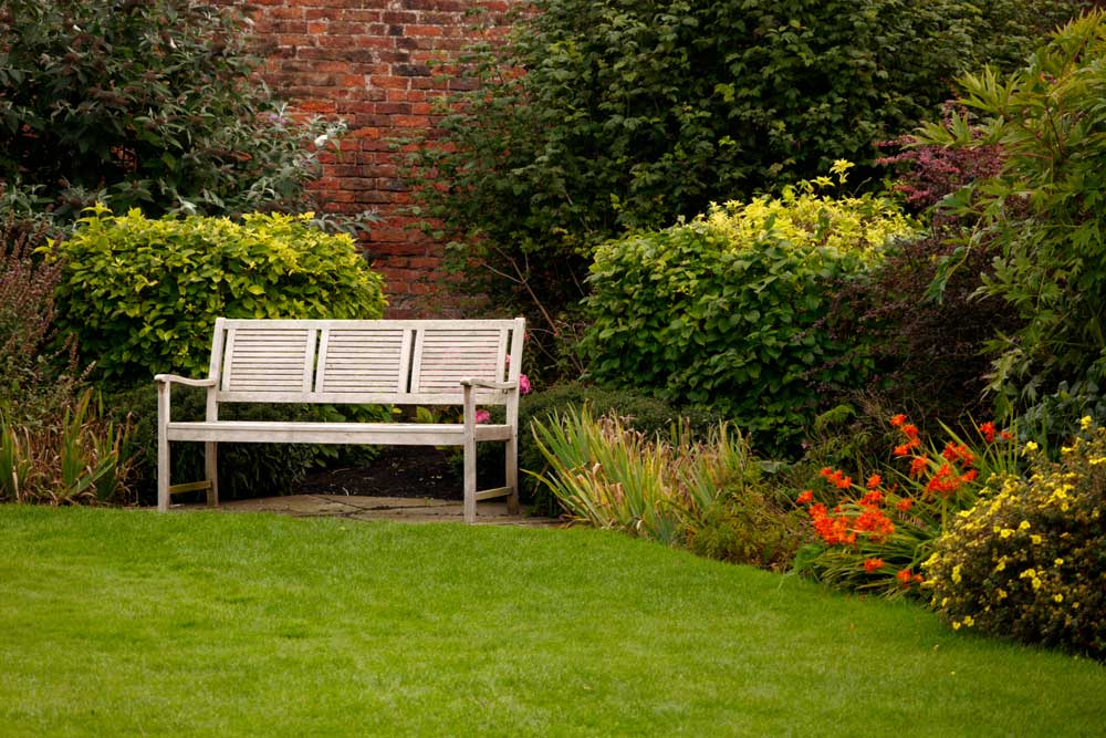 Garden Lawn Care: Understanding the Needs of Your Law