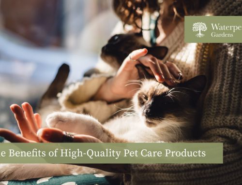 Benefits of High-Quality Pet Care Products