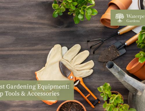 Best Gardening Equipment: Top Tools & Accessories