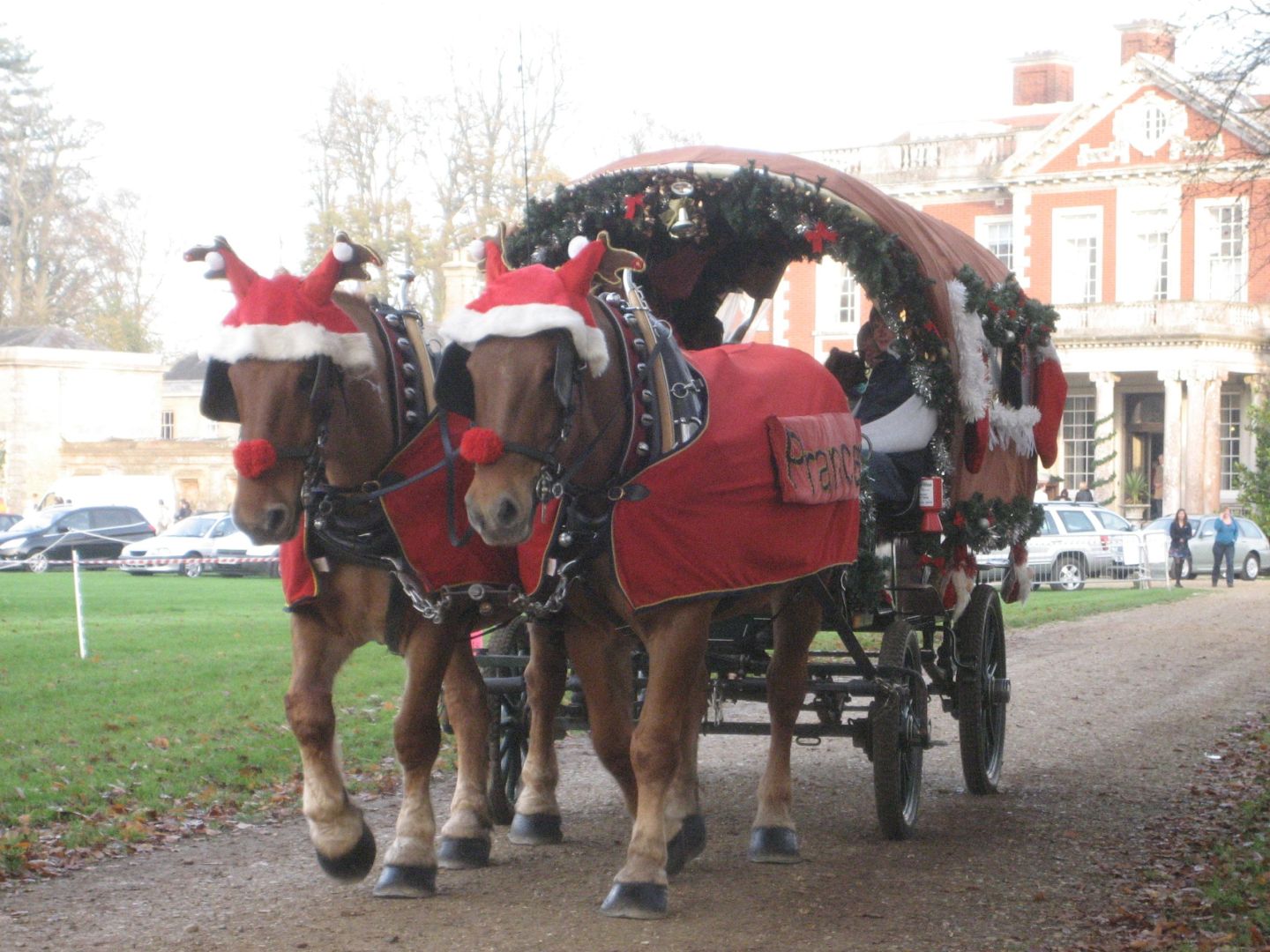 Horse and Cart rides