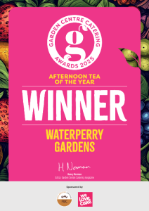 Afternoon Tea Winner Afternoon Tea Winner