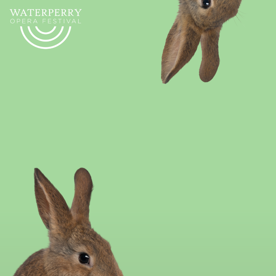 Peter Rabbit's Musical Adventures