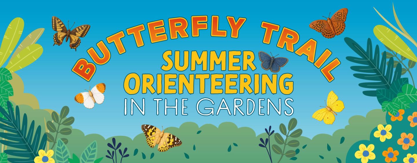 Summer Butterfly Trail